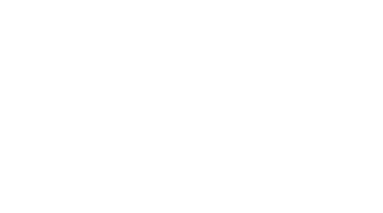 Fainmans, Inc.