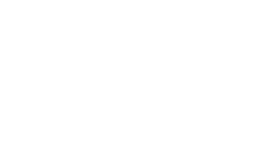 Styles & Cuts, Inc.